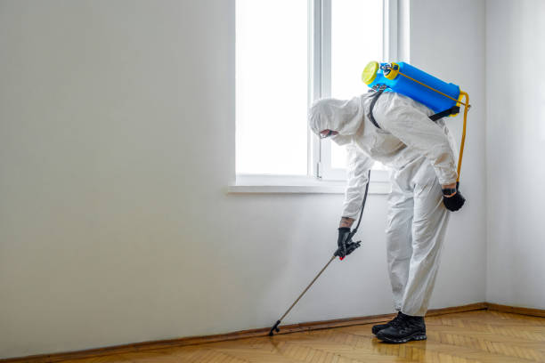 Best Flea Control Services  in Calumet, PA