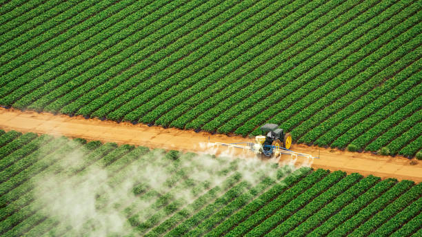 Reliable Calumet, PA Pest Control Solutions